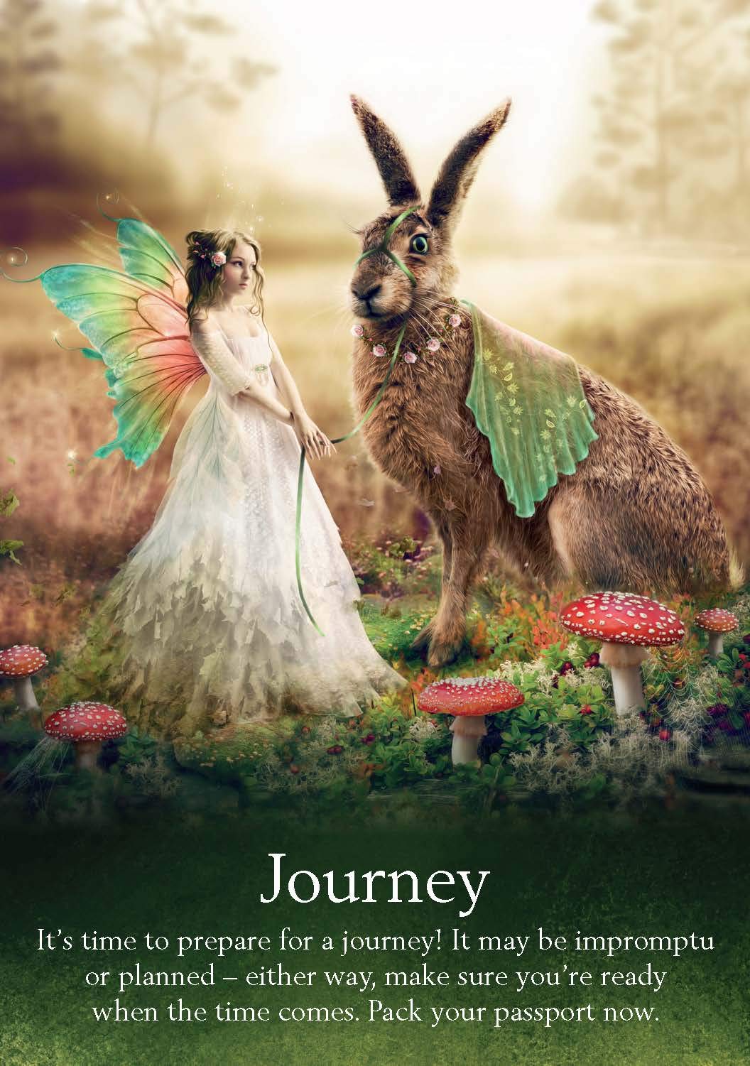 Oracle of the Fairies Cards